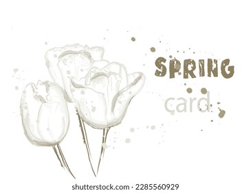 Tulips Spring card vector watercolor blossom white colors