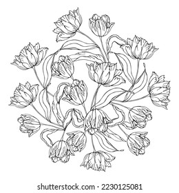 Tulips spring flower concept, isolated on a white background