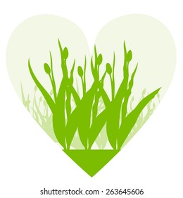 Tulips spring seasonal flower garden ecology concept detailed illustration background vector heart shape