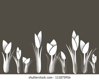 Tulips variation Design of the white tulips on the dark background