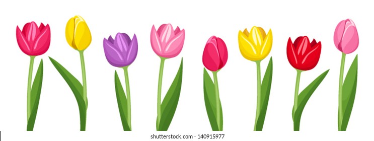 Tulips of various colors. Vector illustration.