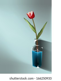  Tulips in a vase