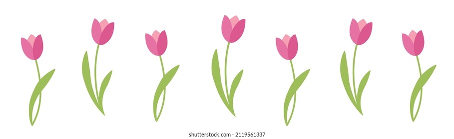 Tulips vector hand drawn. 8 March greeting illustration. Women`s day