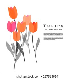 Tulips vector illustration