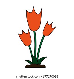 tulips vector illustration