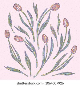Tulips vector illustration. Hand drawn flowers background.