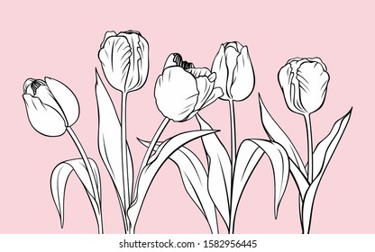 Tulips vector illustration. Spring bouquet sketch. Beautiful flower buds.