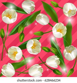 Tulips Vector illustration. Springtime. Realistic Flowers.