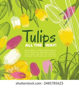 Tulips vector illustration in a square format for social media visuals or cards design. Hand drawn vector design with yellow, pink and white tulips over green background and display font.