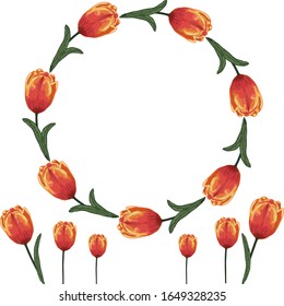 Marco circular vectorial de tulipanos. Vegetación de tulipanos amarillos rojos