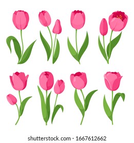 Tulips. Vector set of colorful tulips flowers isolated on white background. Spring flowers for coloring book, greeting card, invitation. Symbol for Women's Day and Mother's Day. Springtime