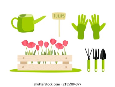 Tulips in wooden box, Gardening tools, watering can, gloves, tag. Fresh red flowers. Spring flowering flowers. Gardening, floriculture. Growing cartoon flat vector illustration. , Gardeners Supply.