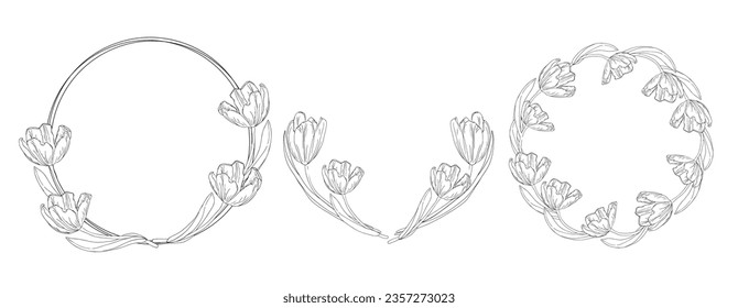 Tulips wreath set for card or invite, coloring pages with spring flower.Tulips black and white wreath line artflower, vector isolated on a white background