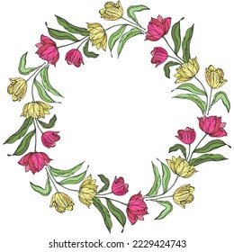 Tulips wreath spring flower,pink and yellow flower,  isolated on a white background