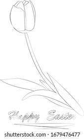 Tulip.Sketch . Fondo blanco.Doodles dibujados a mano para colorear libros, invitaciones de vacaciones, postales, menús de cafés y diseño web.