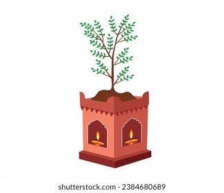 Tulsi plant for Shubh Tulsi Vivah Hindu Indian Festival means Wedding of Holy Basil Plant