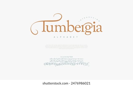 Tumbergia premium luxury elegant alphabet letters and numbers. Vintage wedding typography classic serif font decorative vintage retro. creative vector illustration