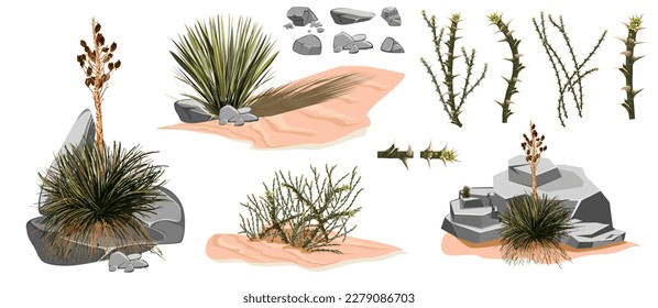 Tumbleweed, cactús y rocas de desierto de arena en África. Juego de piedras con dibujos vectoriales, arbusto seco rodante, árbol verde tropical y plantas desérticas aisladas en fondo blanco