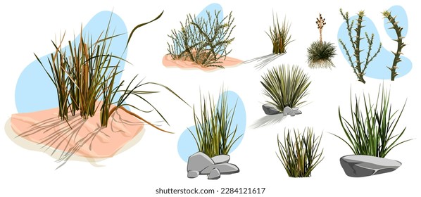 Tumbleweed, cactús y rocas de desierto de arena en África. Juego de piedras con dibujos vectoriales, arbusto seco rodante, árbol verde tropical y plantas desérticas aisladas en fondo blanco