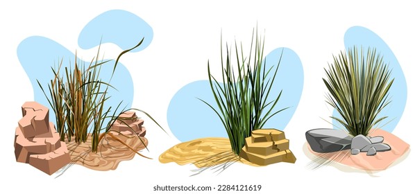 Tumbleweed, cactuses and rocks of sand desert in Africa. Vector cartoon set of stones, rolling dry bush, tropical green tree and desert plants isolated on white background