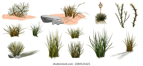 Tumbleweed, cactuses and rocks of sand desert in Africa. Vector cartoon set of stones, rolling dry bush, tropical green tree and desert plants isolated on white background