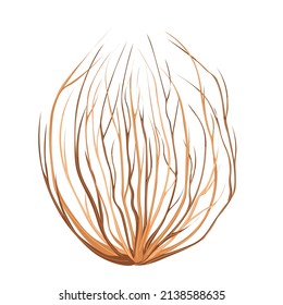 Tumbleweed plant illustration in cartoon style. Wild west nature