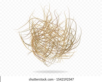 Tumbleweed vector western plant . Tumble weed dead old root . 