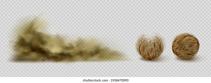 Tumbleweeds and sandstorm cloud, desert plants and sand dust. Dry bush or twigs in shape of balls, arid climate design elements isolated on transparent background, Realistic 3d vector clip art, set