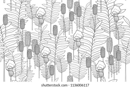 Tumeric leaves and exotic flowers composition. Vector illustration. Botanical seamless wallpaper. Digital nature art. Cartoon style sketch. White background.