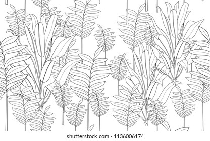 Tumeric leaves and exotic flowers composition. Vector illustration. Botanical seamless wallpaper. Digital nature art. Cartoon style sketch. White background.