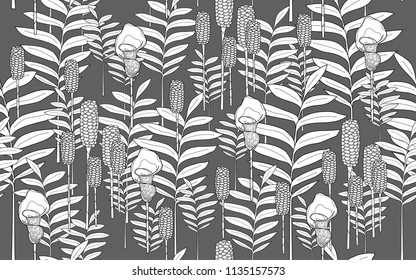 Tumeric leaves and flowers. Big leaves and exotic flowers composition. Vector illustration. Botanical seamless wallpaper. Digital nature art. Cartoon style sketch. Grey background.