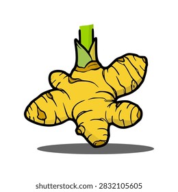 tumeric rhizome color vector illustration