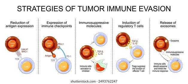 Tumor-Immune-Evasion. Antigene Flucht. Immune Flucht. Immune Ausflucht oder Fluchtmutation. Vektorillustration 