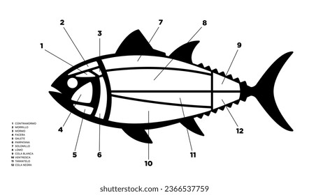 Tuna Cuts black and white diagram (ronqueo). Parts of tuna written in Spanish. 