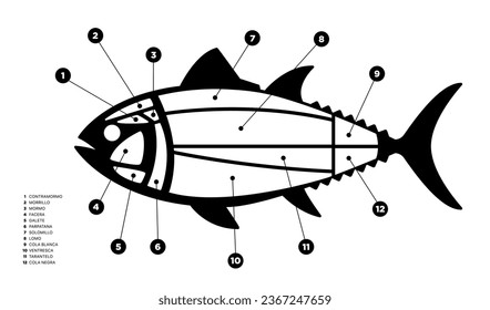 Tuna Cuts black and white diagram (ronqueo). Parts of tuna written in Spanish. 