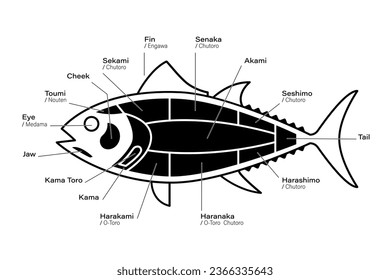 Tuna Cuts diagram. Black and white parts of tuna. Japanese style