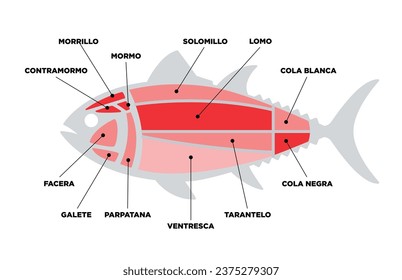 Tuna Cuts diagram (ronqueo). Parts of tuna written in Spanish. 