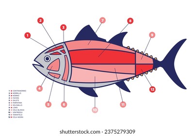 Tuna Cuts diagram (ronqueo). Parts of tuna written in Spanish. 