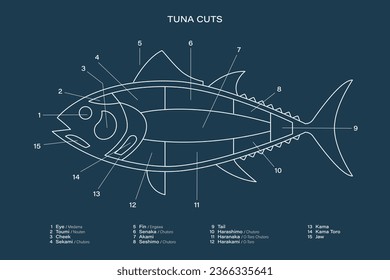 Tuna Cuts line diagram on blue background. Parts of tuna. Japanese style