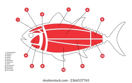 Tuna Cuts line diagram (ronqueo). Parts of tuna written in Spanish. 