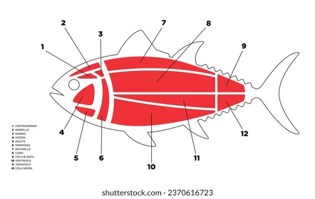 Tuna Cuts line diagram (ronqueo). Parts of tuna written in Spanish. 