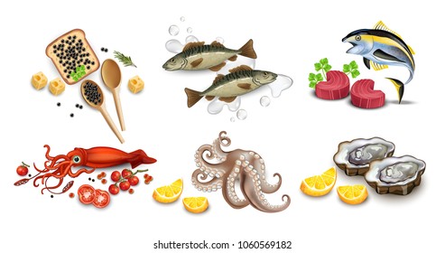 Tuna fish, caviar, squid, oysters and octopus seafood set. Vector realistic detailed illustrations