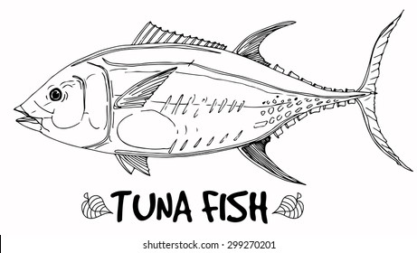 Tuna fish doodle in lines on white background. Vector ready for fish shop.