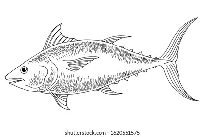 Tuna Fish Graphic Black White Isolated Stock Vector (Royalty Free ...