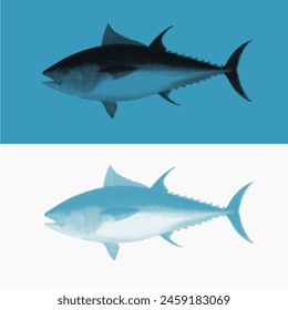tuna fish with halftone concept