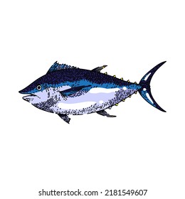 vector dibujado a mano por atún. fresco crudo, marisco, filete de filete azul de piecem, bocadillo de pescado de atún. ilustración de color aislado