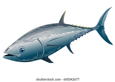 Tuna fish. Hand drawn vector illustration isolated on white background.
