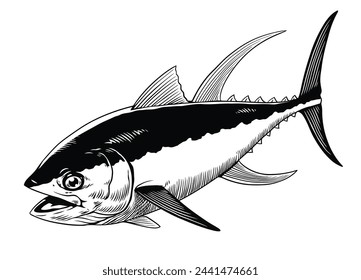 Tuna Fish Illustration Hand Drawn Vintage Style