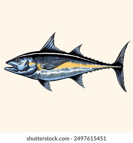 Tuna fish illustration. Vintage tuna fish drawing. Tuna fish drawing in vintage engraving style