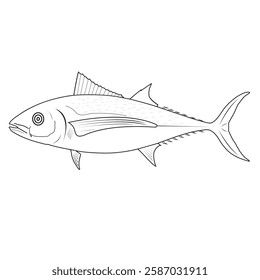 Tuna fish isolated on white. Cartoon style vector illustration outline